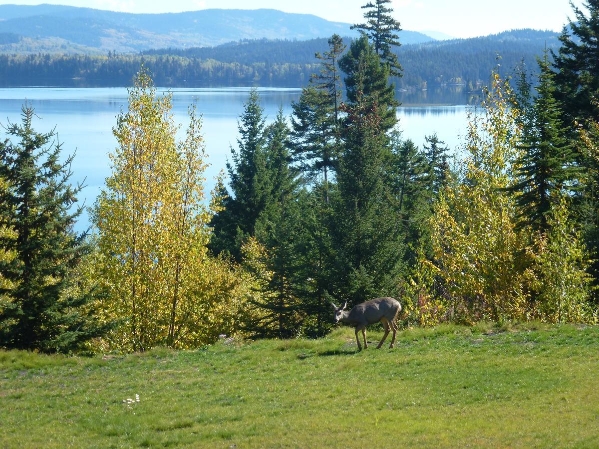 Little Black Bear Lodge/B&B Bridge Lake Dış mekan fotoğraf